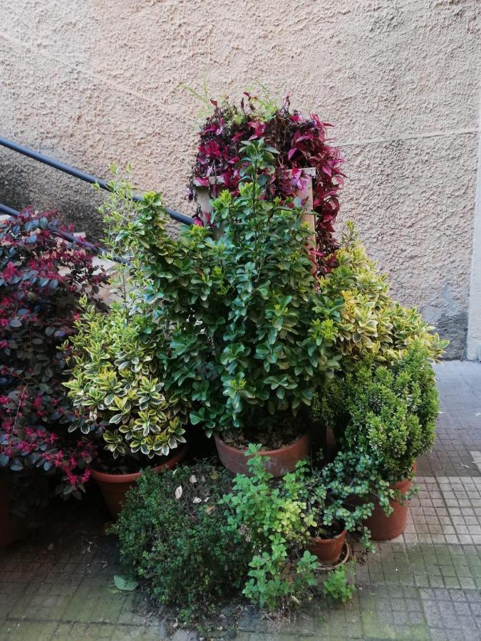 روما Tra Gianicolo E Trastevere المظهر الخارجي الصورة